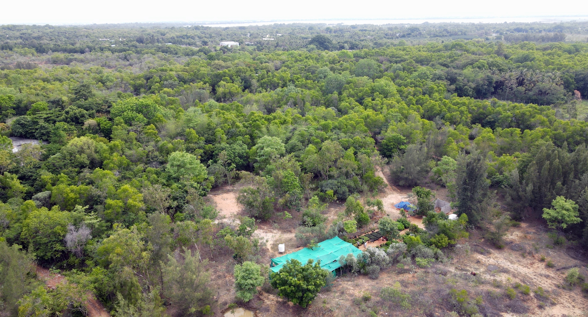 Ecosystem Restoration