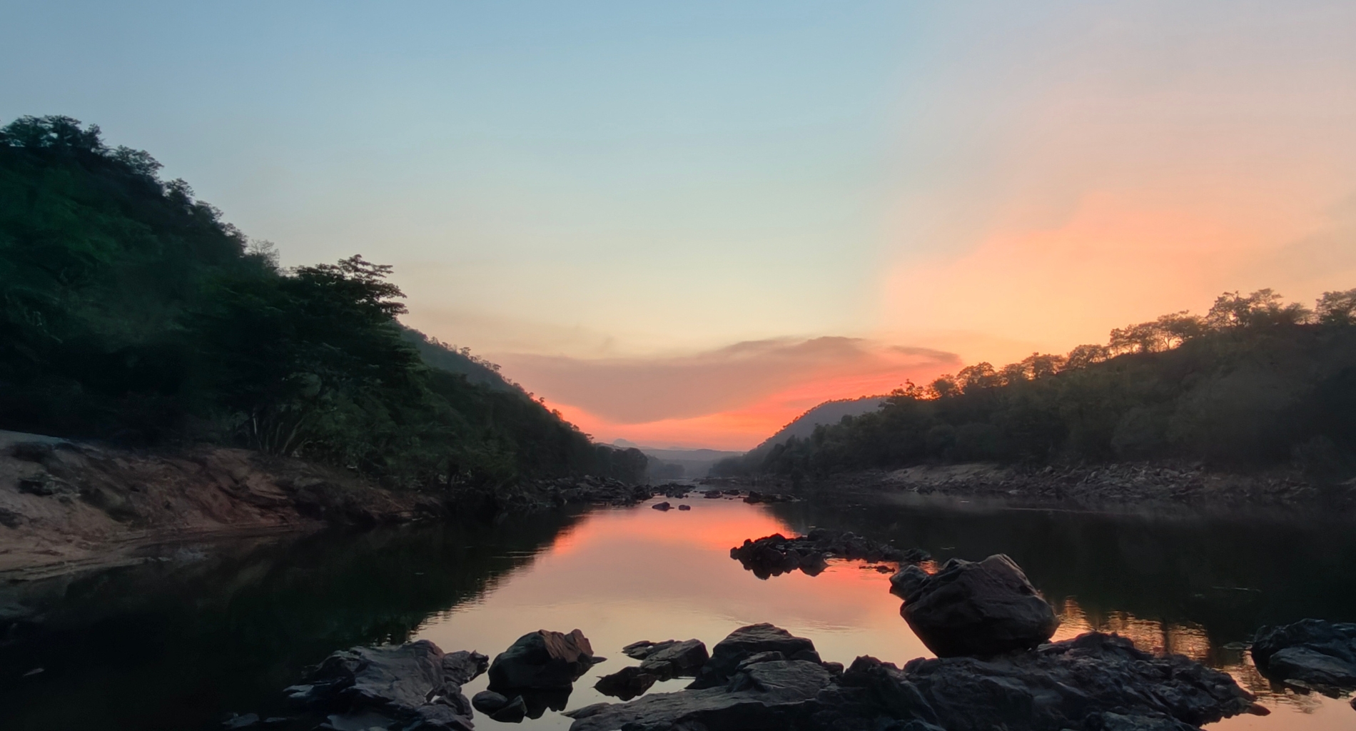 Document Biodiversity